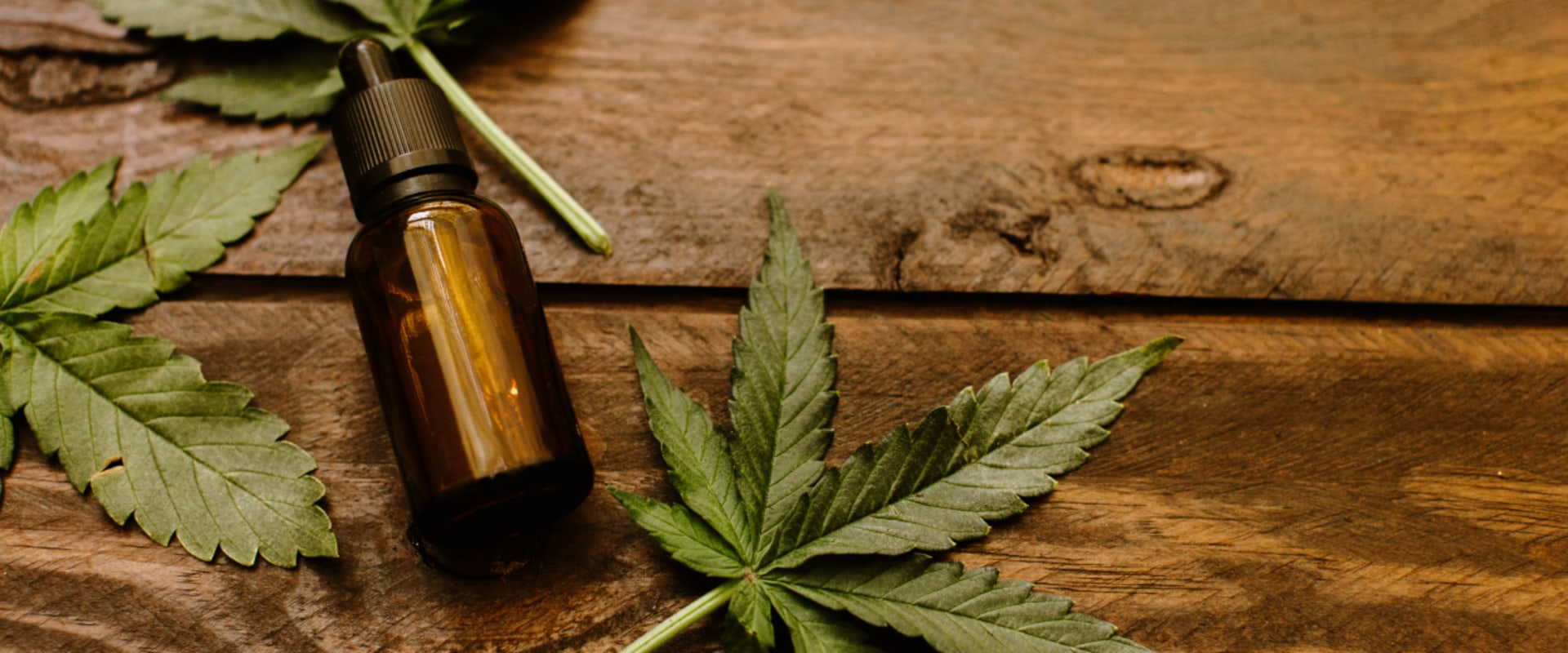 The Difference Between CBD and THC Explained