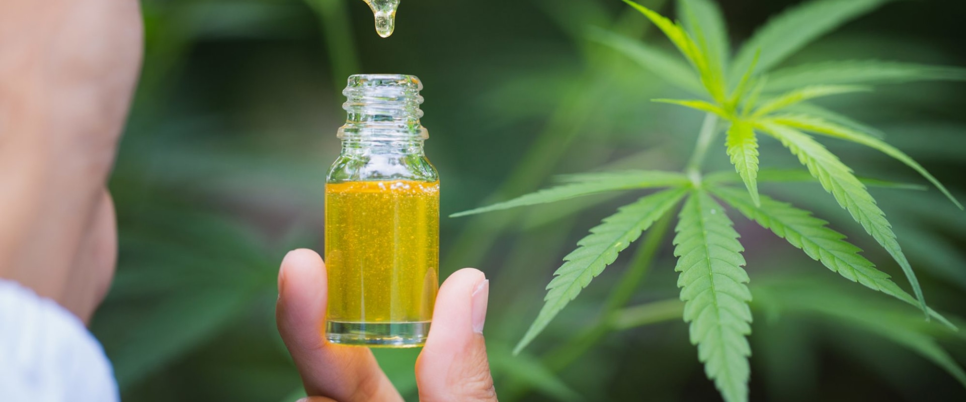What are the Mental Effects of CBD?