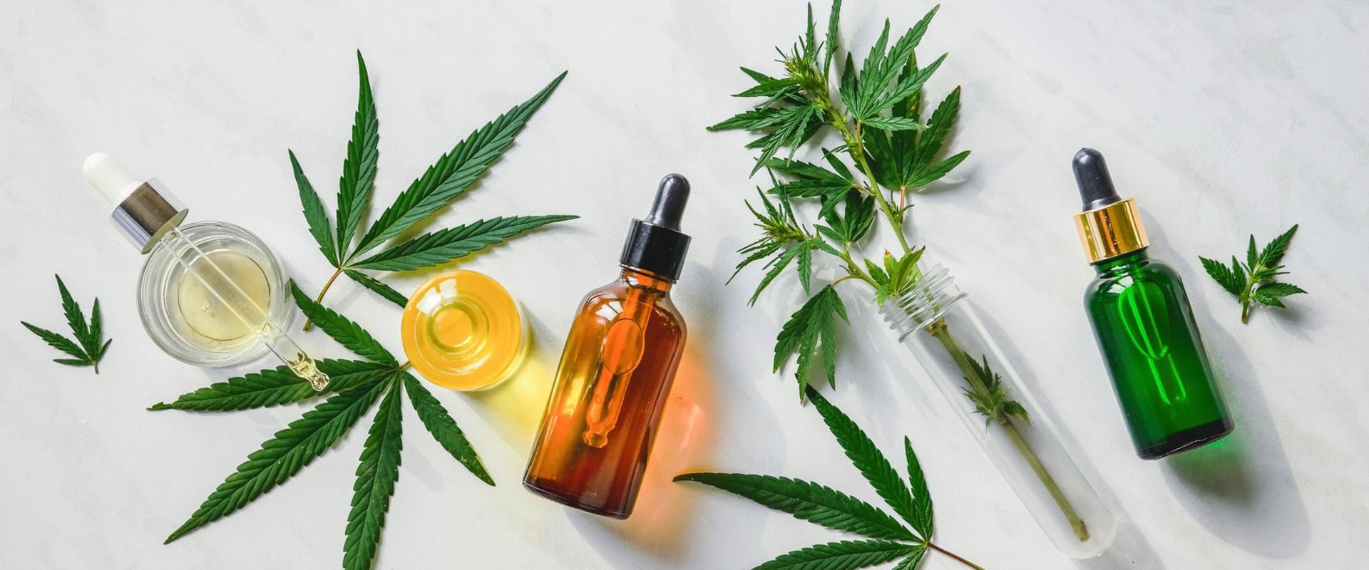 The Comprehensive Guide to CBD, THC, and Cannabis