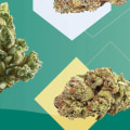 Which thc is most potent?