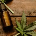 How to Differentiate THC from CBD