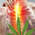 What THC is Best for Back Pain Relief?
