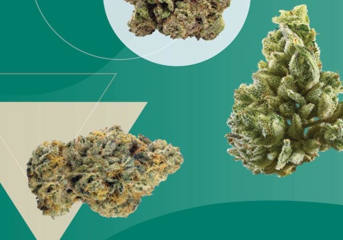 Which thc is most potent?