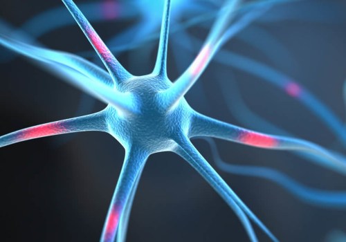 The Impact of THC on the Central Nervous System