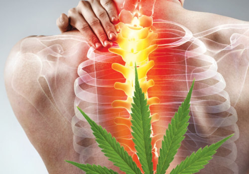 What THC is Best for Back Pain Relief?